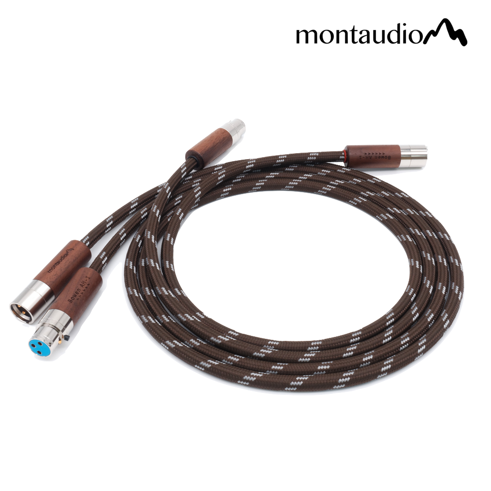 Montaudio Bowen AH-1 Silver Hybrid XLR Cable Review: Unleashing Audiophile Brilliance