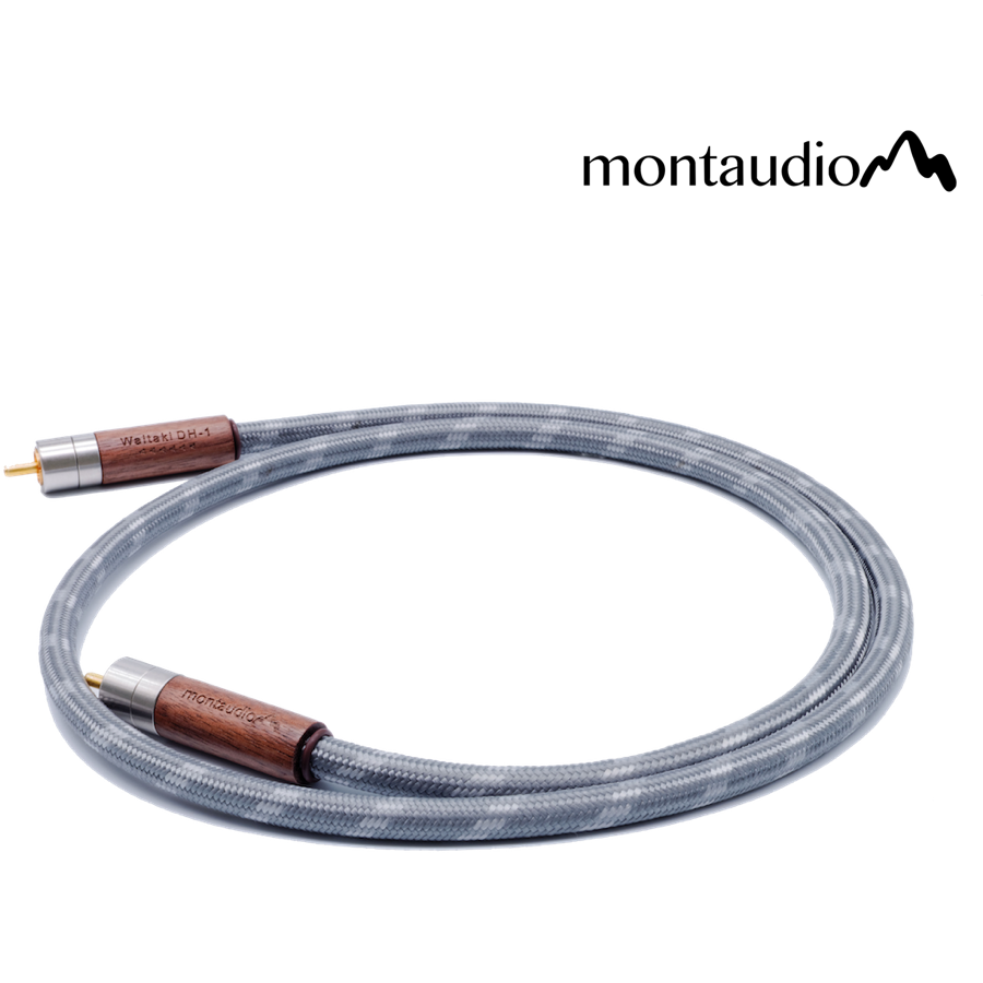 Montaudio Waitaki DH-1 Coaxial Cable Review