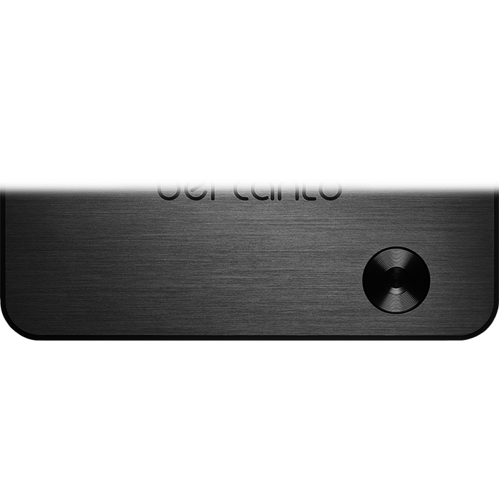 Bel Canto - BLACK ACI 600 - Integrated Amplifier