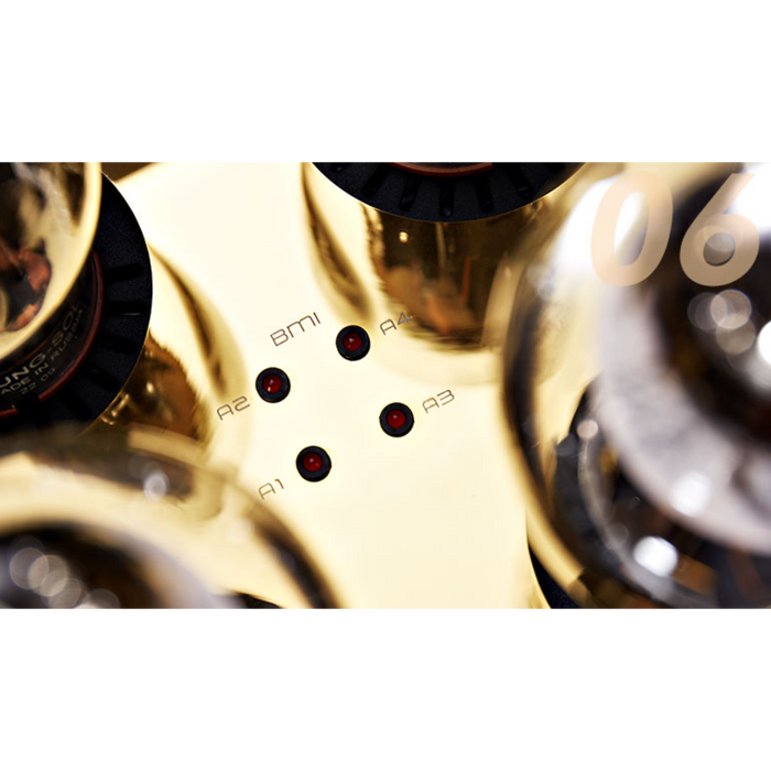 Cayin - Pearl 30i - 30th Anniversary Tube Amplifier