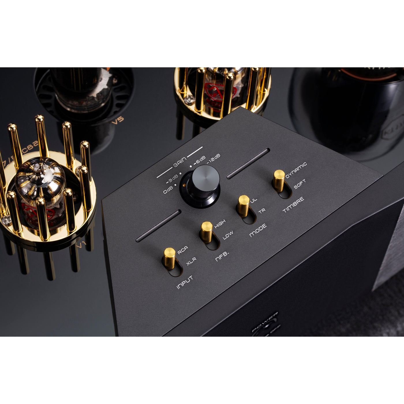 Cayin - Soul 170P - Power Amplifier — The Audio Tailor