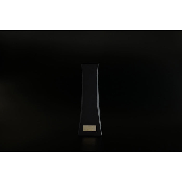 DS Audio - ION-001 - Vinyl Ionizer