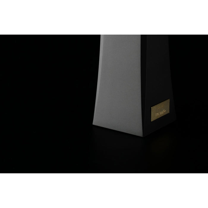 DS Audio - ION-001 - Vinyl Ionizer