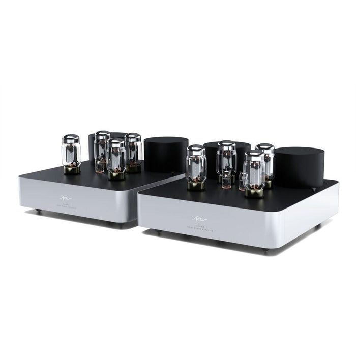 Fezz - Olympia - Mono Tube Power Amplifiers (pair)