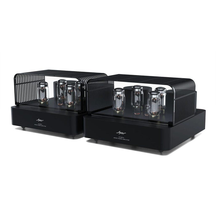 Fezz - Olympia - Mono Tube Power Amplifiers (pair)