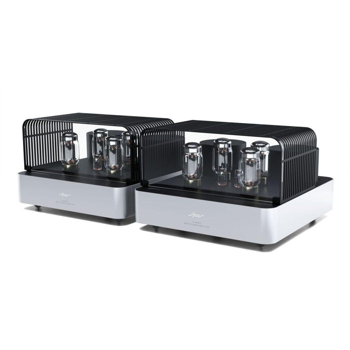 Fezz - Olympia - Mono Tube Power Amplifiers (pair)