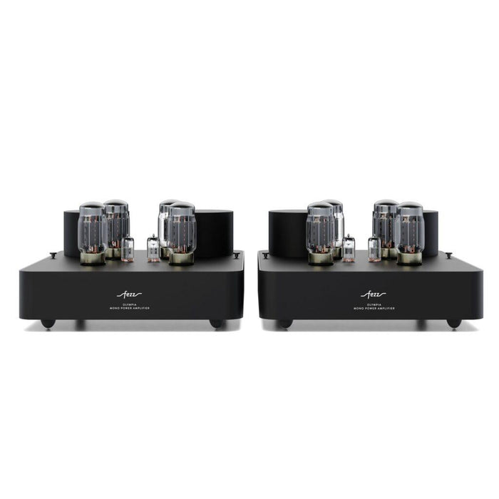 Fezz - Olympia - Mono Tube Power Amplifiers (pair)