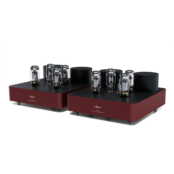 Fezz - Olympia - Mono Tube Power Amplifiers (pair)