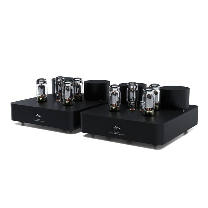 Fezz - Olympia - Mono Tube Power Amplifiers (pair)