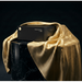 Gold Note - PSX-5.2 - External Power Supply