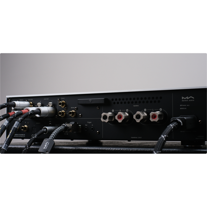Matrix Audio - MD-1 - Integrated Music Streaming Amplifier