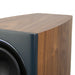 Richter - Dragon 7SE - Floorstanding Speakers (Available for Pre-Order)