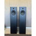 Richter Harlequin S6 plus - Pre Loved