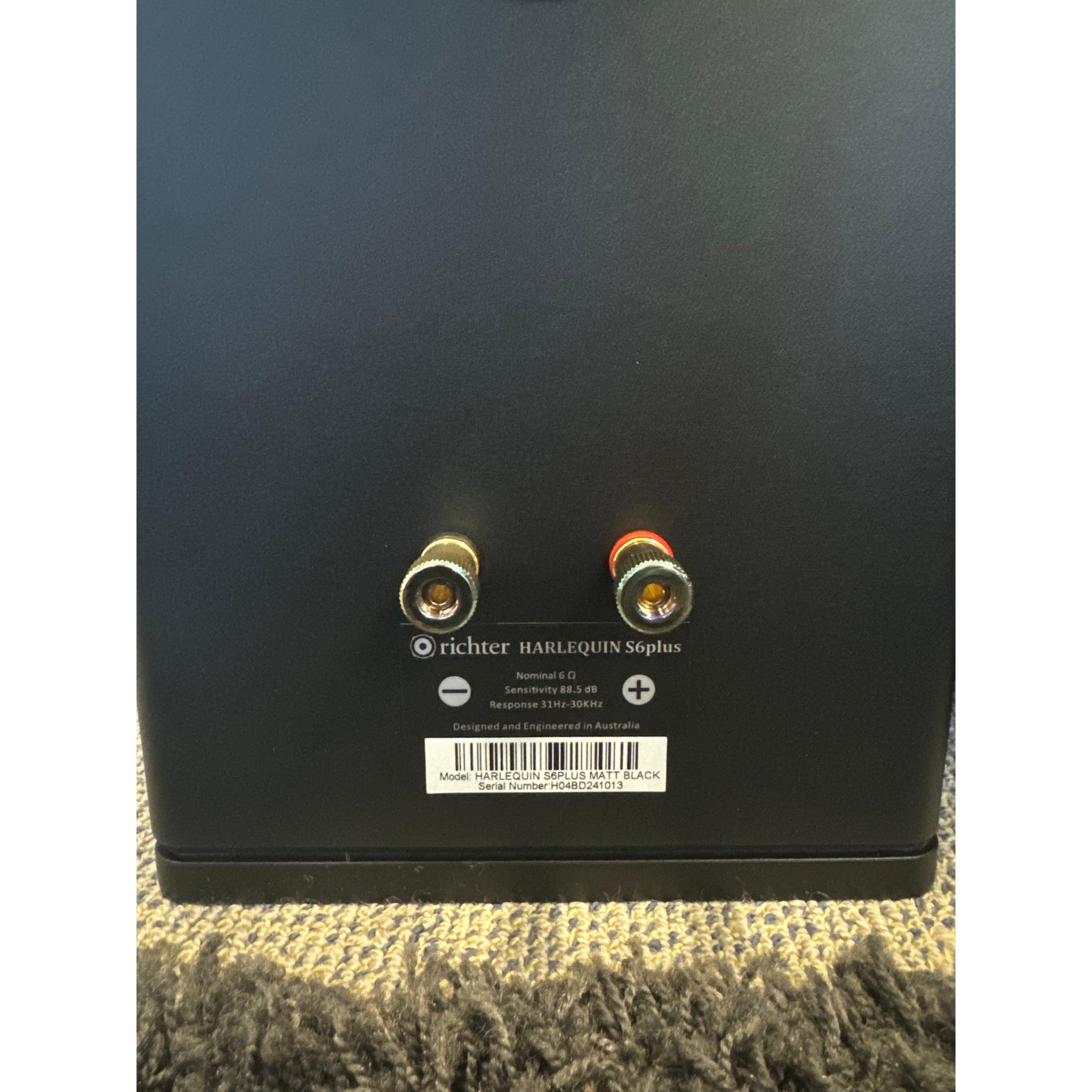 Richter Harlequin S6 plus - Pre Loved