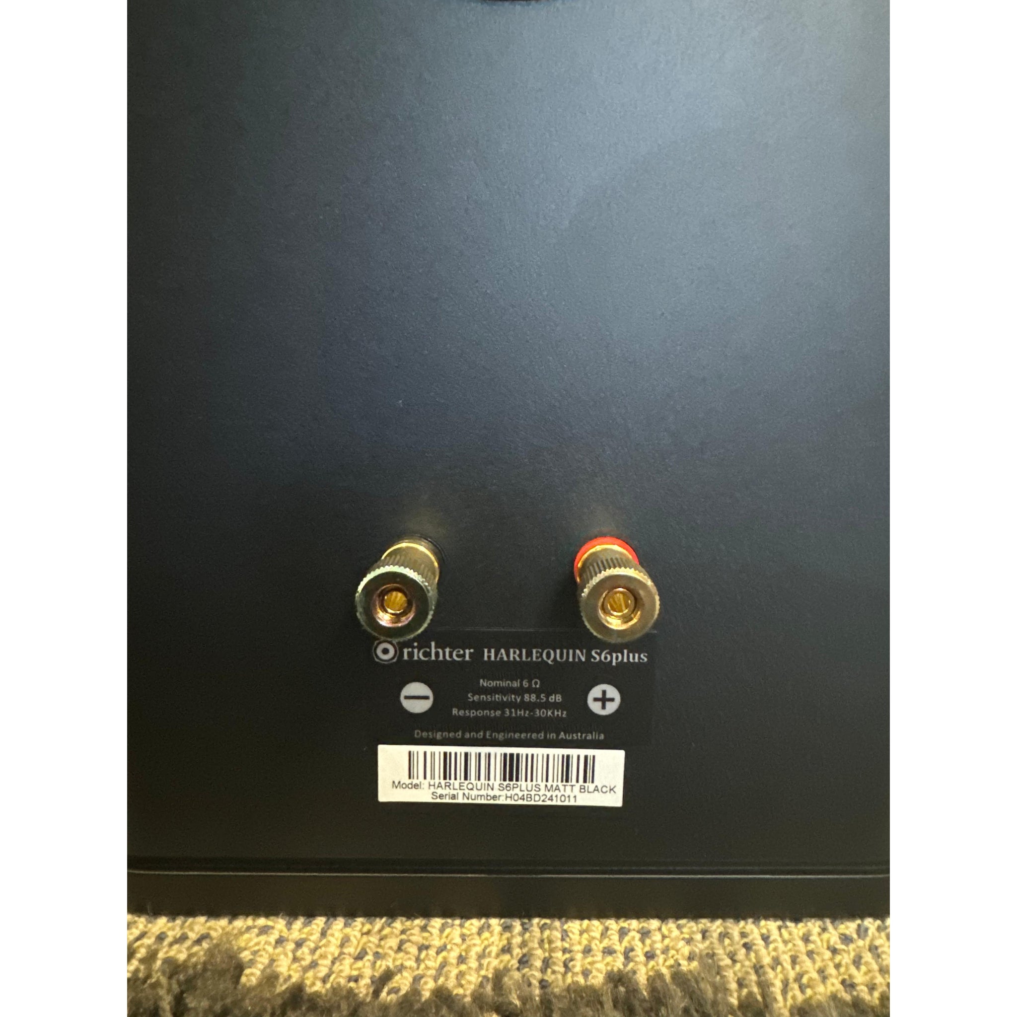 Richter Harlequin S6 plus - Pre Loved