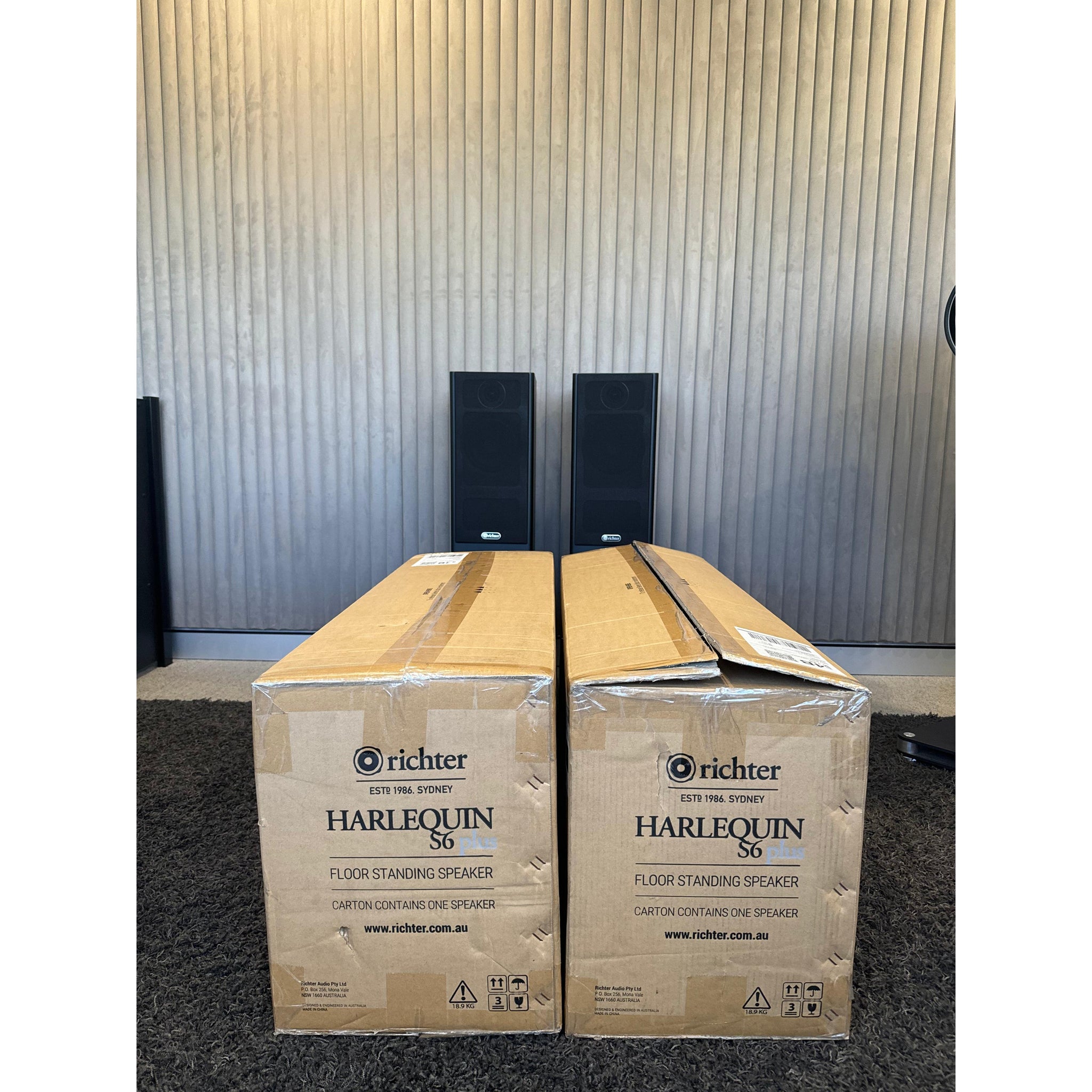 Richter Harlequin S6 plus - Pre Loved