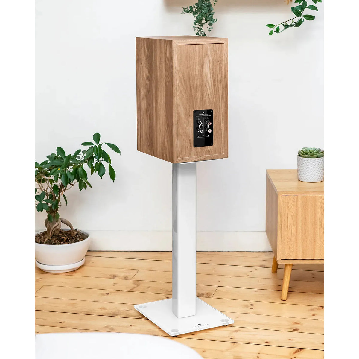 Triangle - BR04 - Bookshelf Speaker