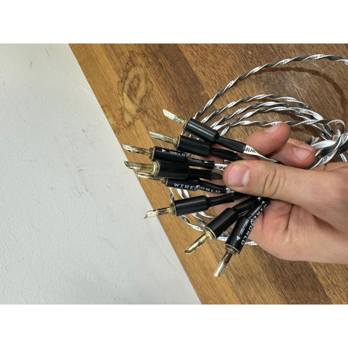 Wireworld Helicon 16 HCS Speaker Cable 2.5m (pair) - Pre Loved