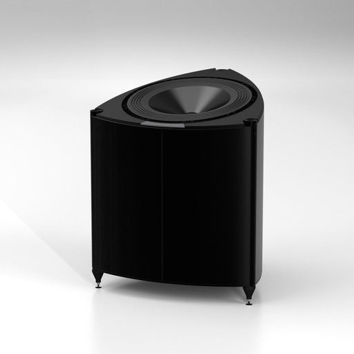 YG Acoustics - Invincible 21.1 - Subwoofer