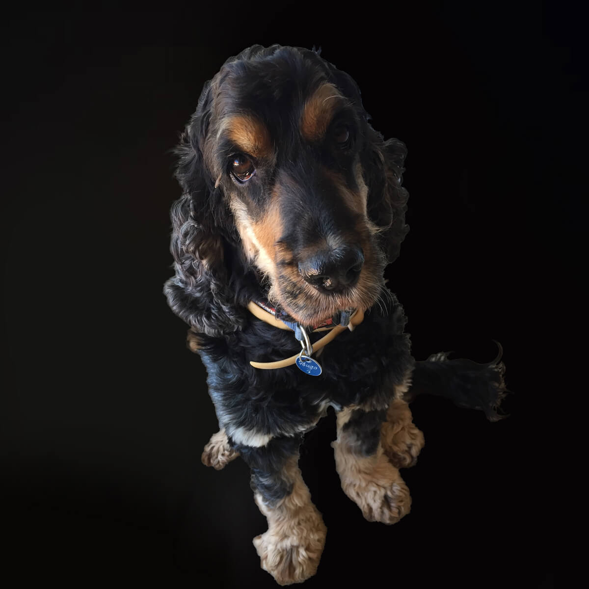 Hugo