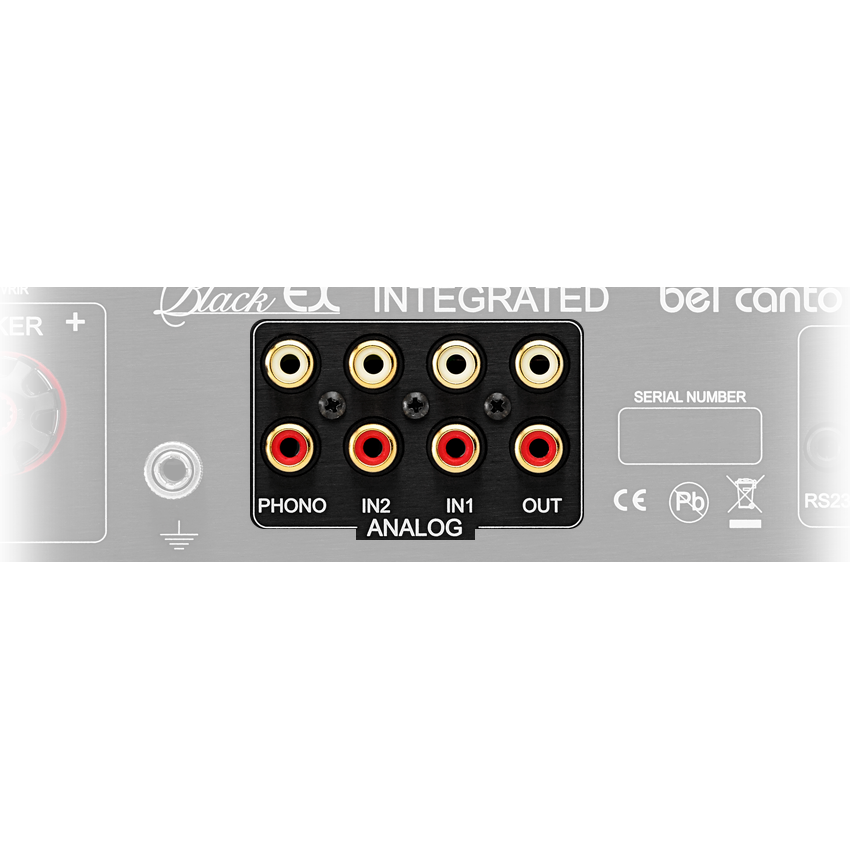 Bel Canto - BLACK EX Integrated - Integrated Amplifier