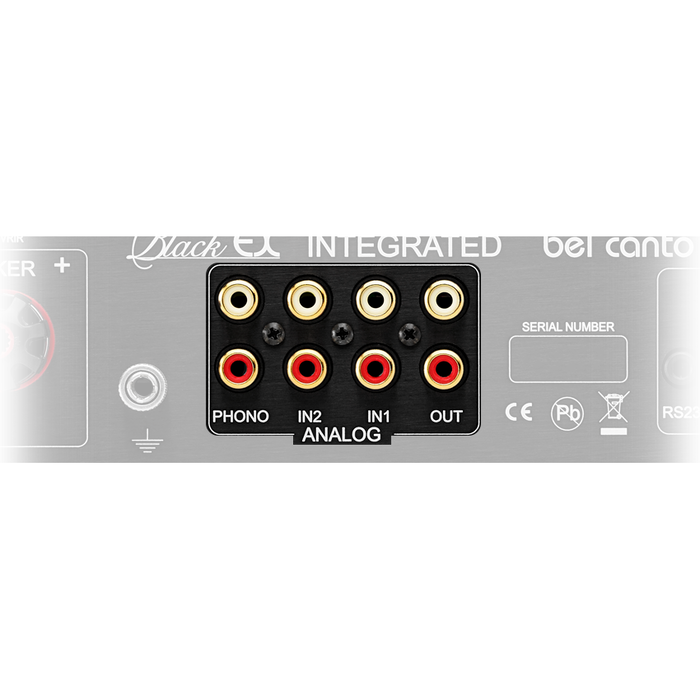 Bel Canto - BLACK EX Integrated - Integrated Amplifier