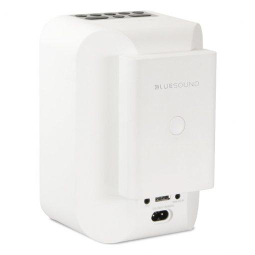Bluesound - BP100 - Pulse Flex Battery Pack
