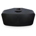 Bluesound - Pulse 2i - Wireless Speaker