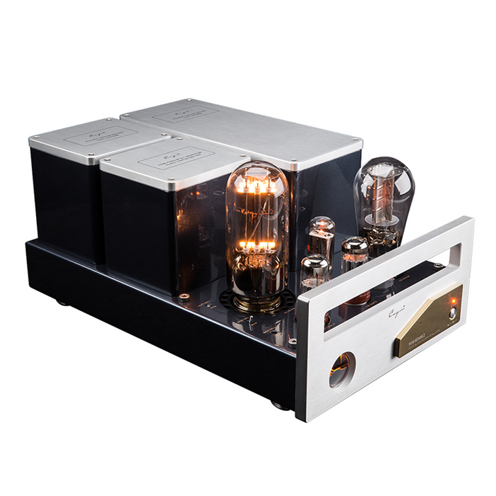 Cayin - 9084DMK2 Mono Block - Power Amplifier