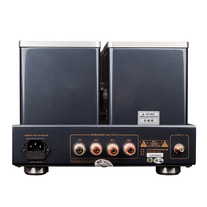 Cayin - 9084DMK2 Mono Block - Power Amplifier