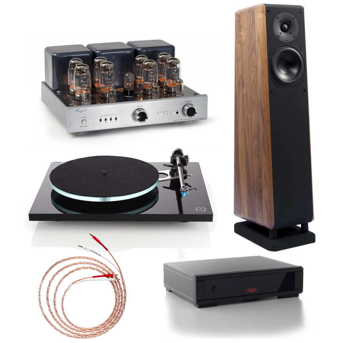 Cayin, Chario, & Rega - CS Planar Pegasus package