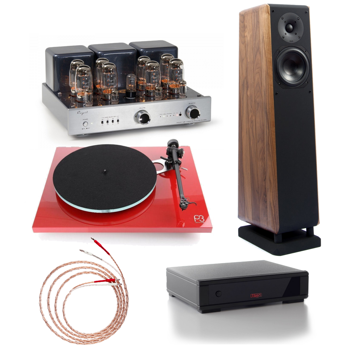 Cayin, Chario, & Rega - CS Planar Pegasus package