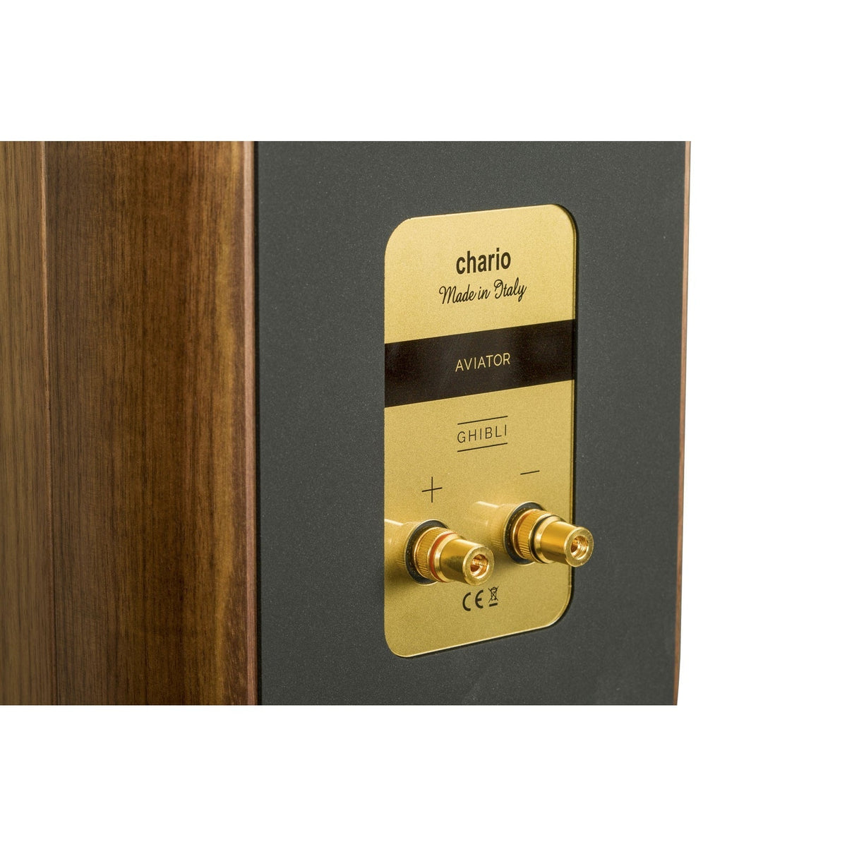 Chario - Aviator Ghibli - Bookshelf Speakers