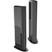 Golden Ear - Triton One.R - Floor Standing Speakers