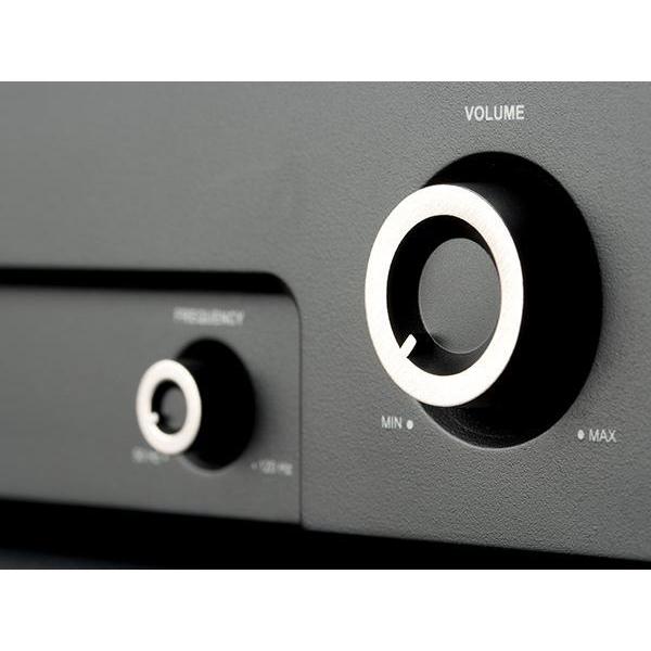 Monitor Audio - IWA-250 - Custom Install Subwoofer Amplifier