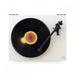 Rega - Planar 1 Plus - Turntable