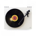 Rega - Planar 1 - Turntable