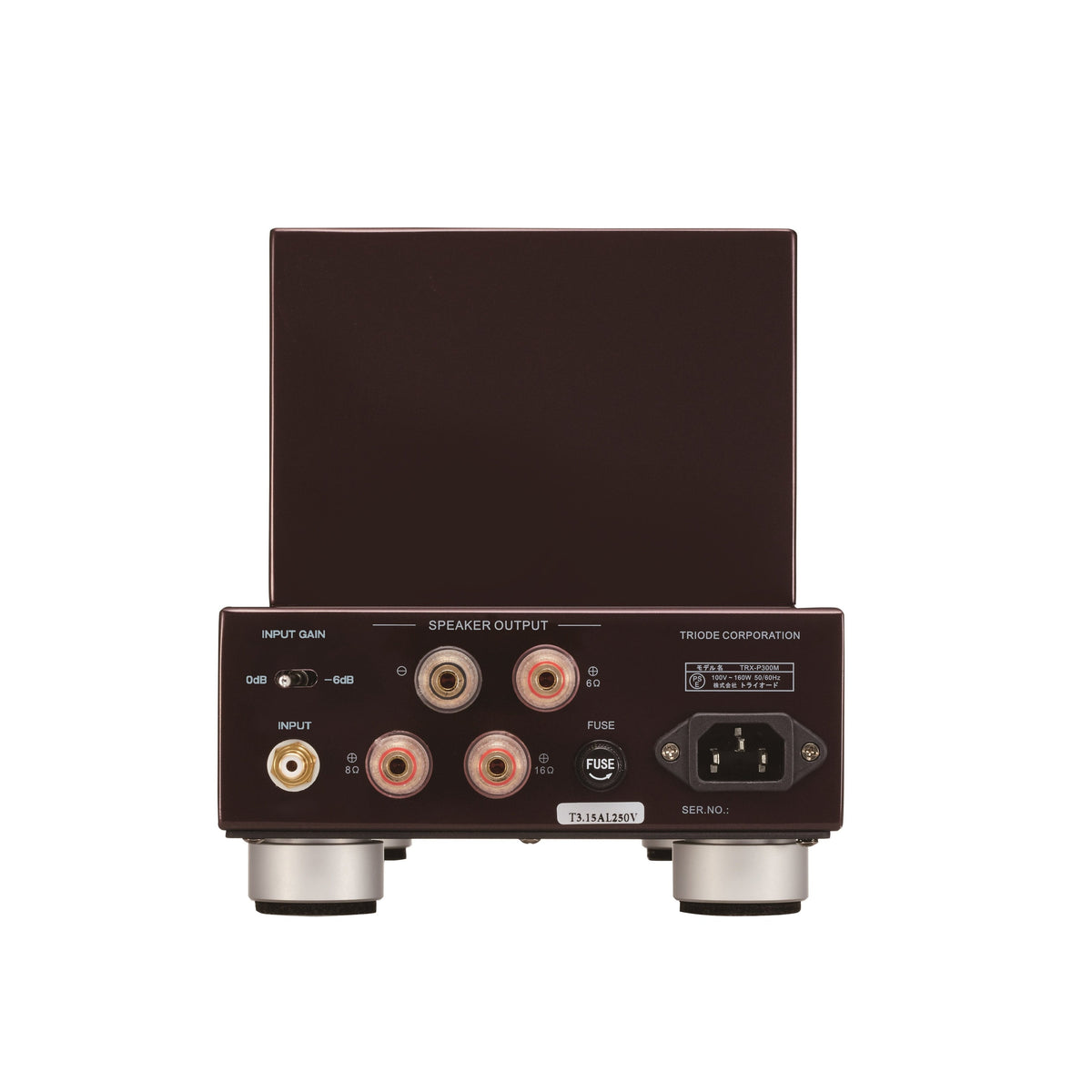 Triode - TRZ-P300M - Tube Monoblock Power Amplifier (Pair)